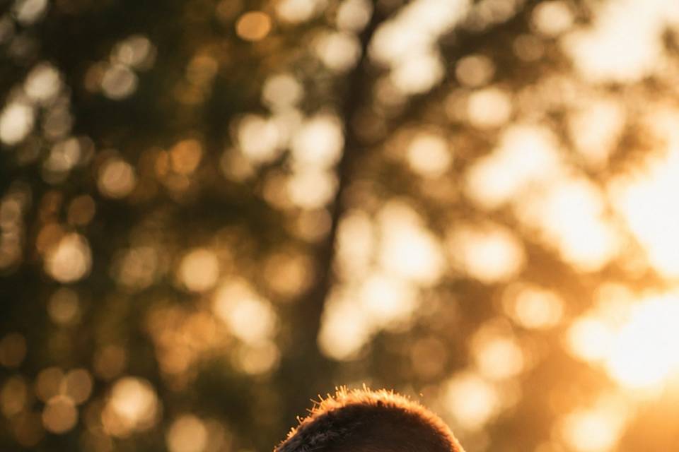golden-hour-embrace.jpg