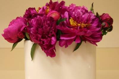 SignatureK Events and Flowers