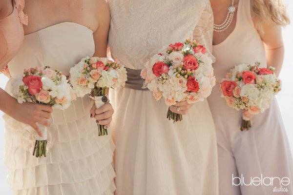 Bridal bouquet and bridesmaids bouquets design by Garden Gate Florals.  Flowers-ivory hydrangea, coral 