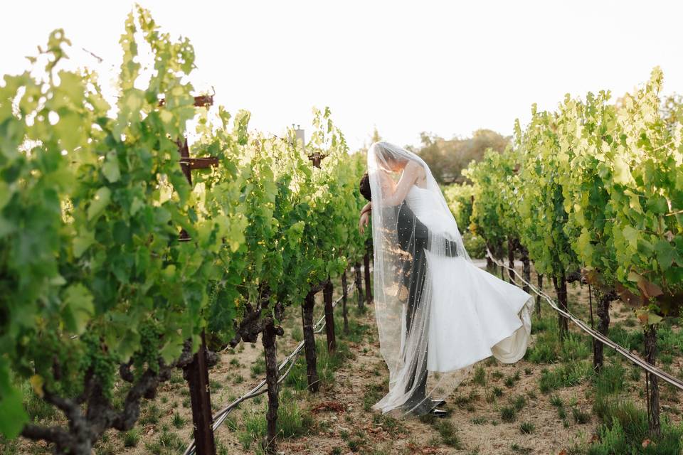 Vineyard Lovers