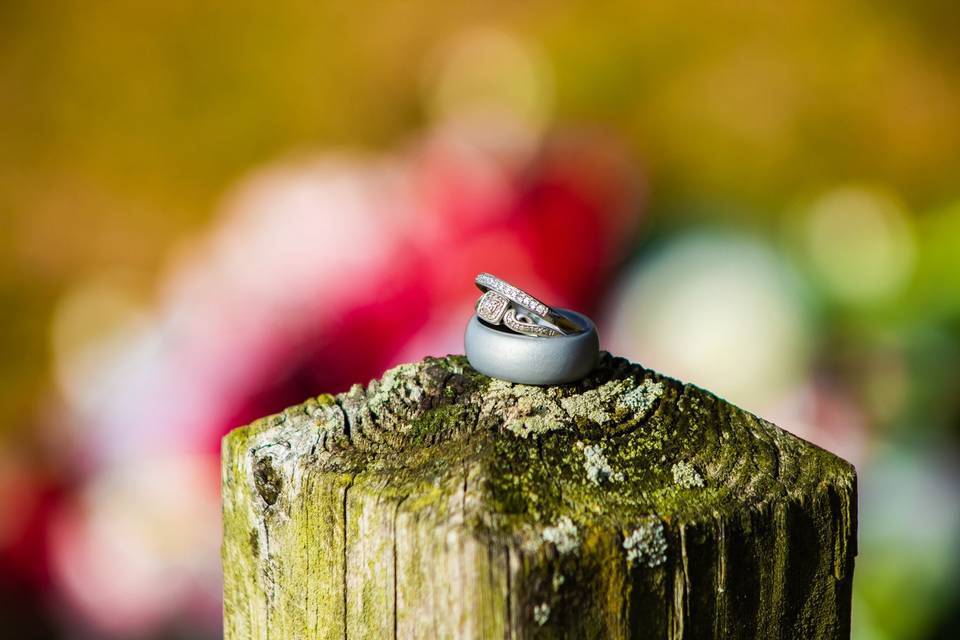 Wedding rings on wood post