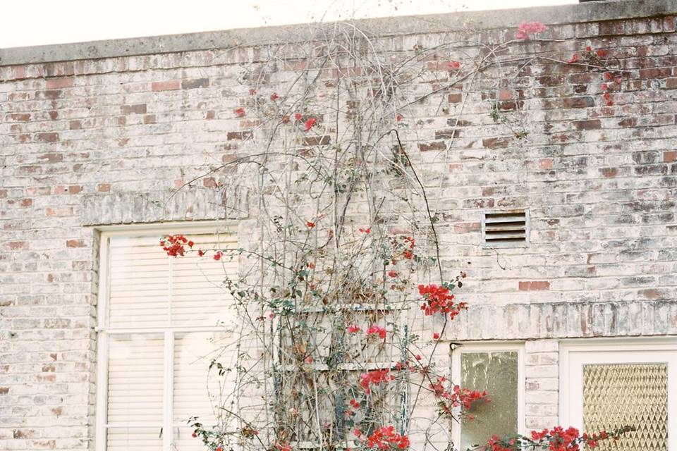 Jody Atkinson Photography