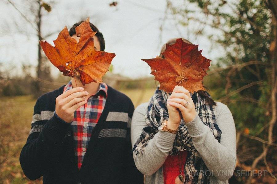Carolynn Seibert Photography