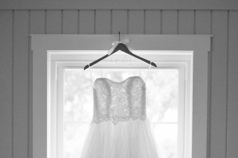 Carolynn Seibert Photography