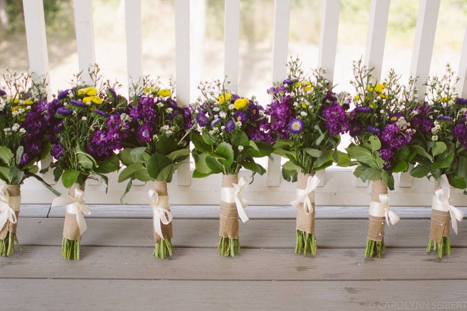 Carolynn Seibert Photography