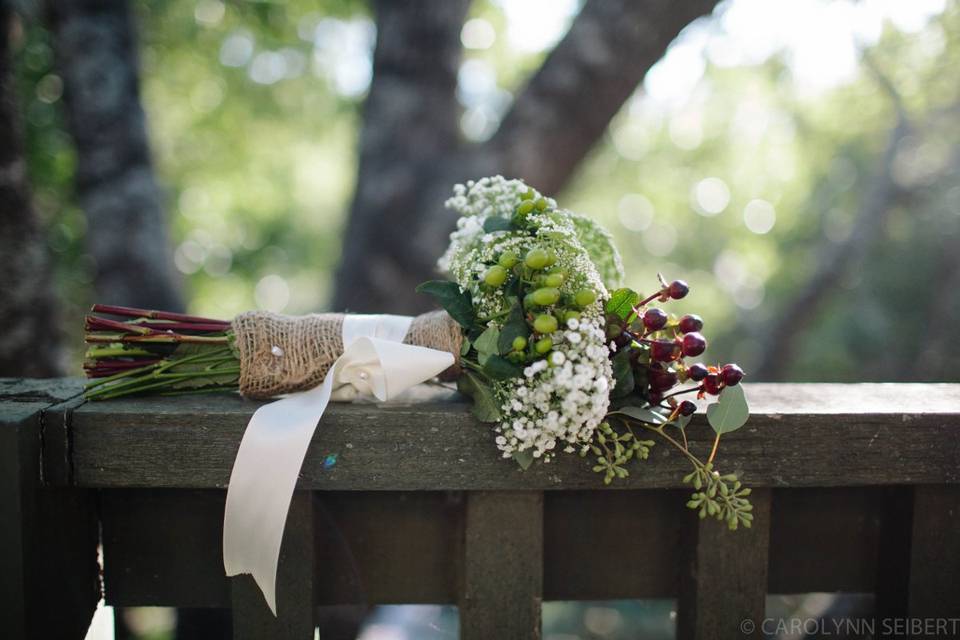Carolynn Seibert Photography