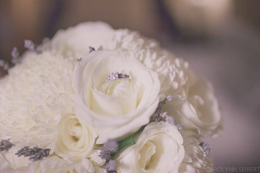 Carolynn Seibert Photography