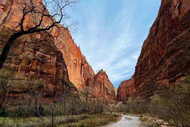 Red Rock Shuttle