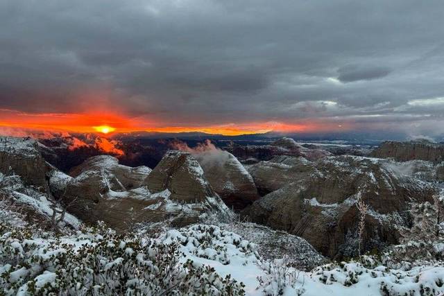 Red Rock Shuttle