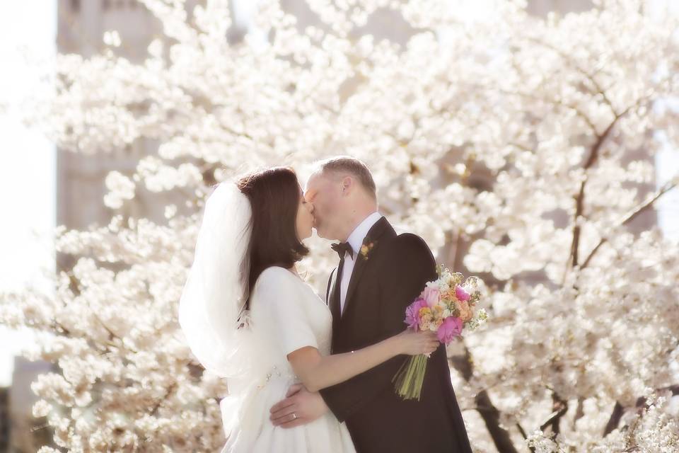 Cherry blossom backdrop - Pepper Nix Photography