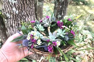 Starkey Wedding Flowers and More