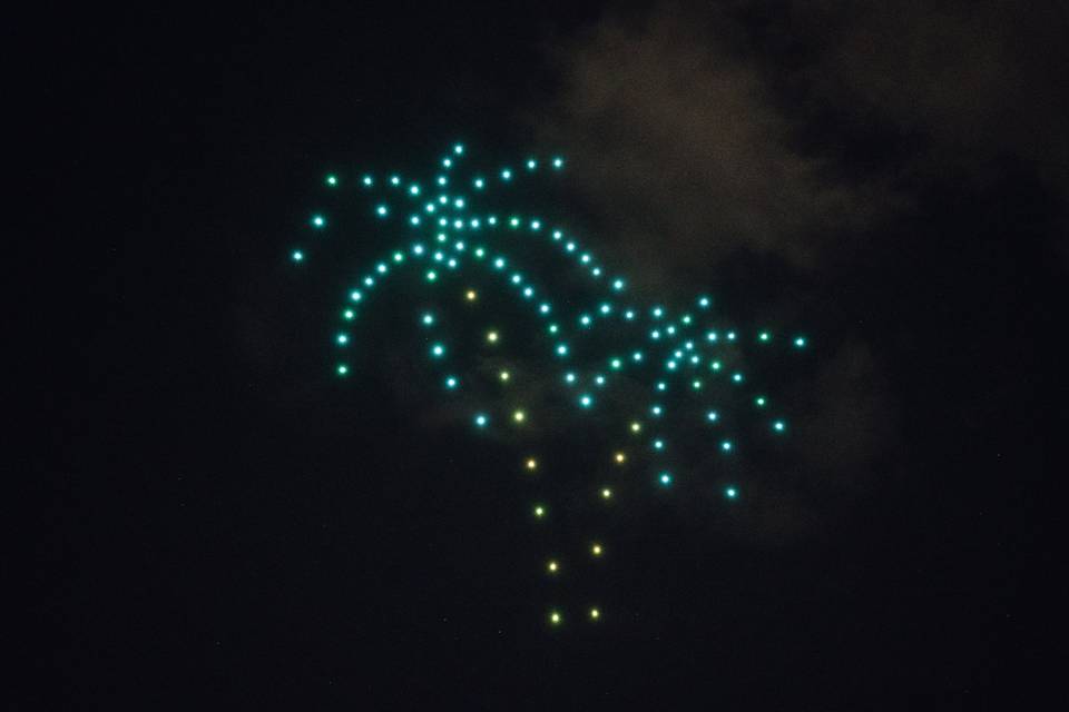 Drones
