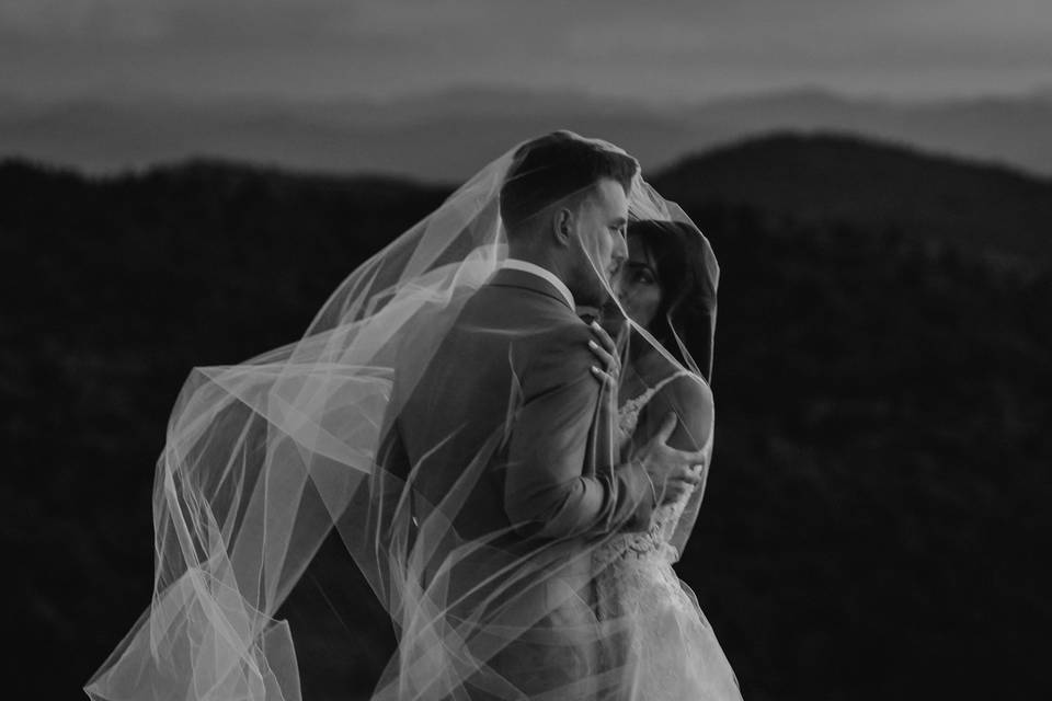 Stunning veil portraits