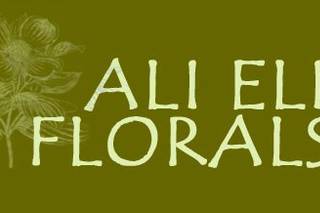 Ali Hayward Photography