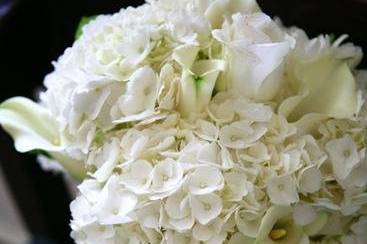 Ali Eli Florals