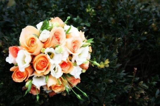Ali Eli Florals
