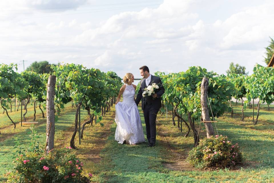 Wedding at Vineyard