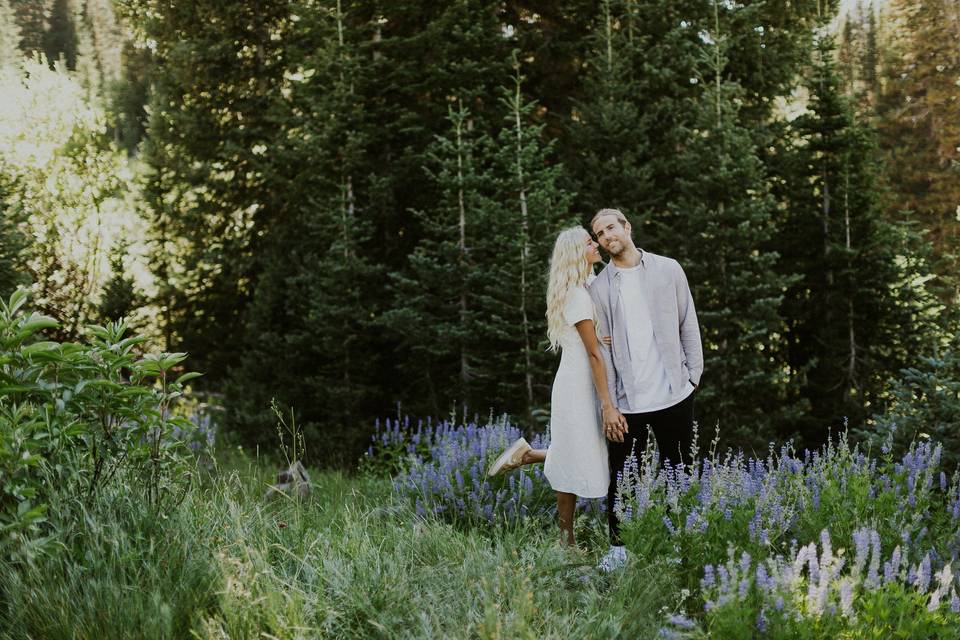 Lavender Field Engagement