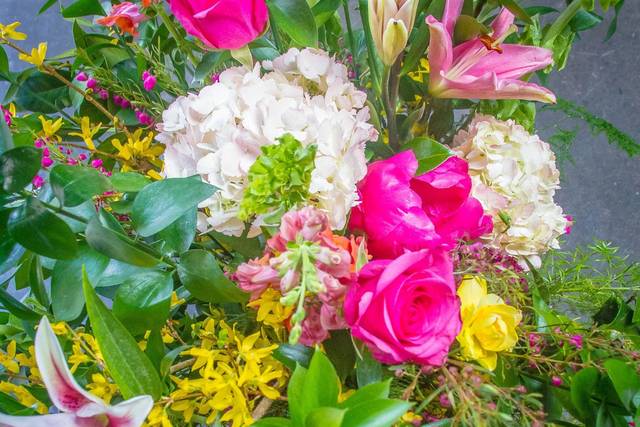 Essence Latifah Photography