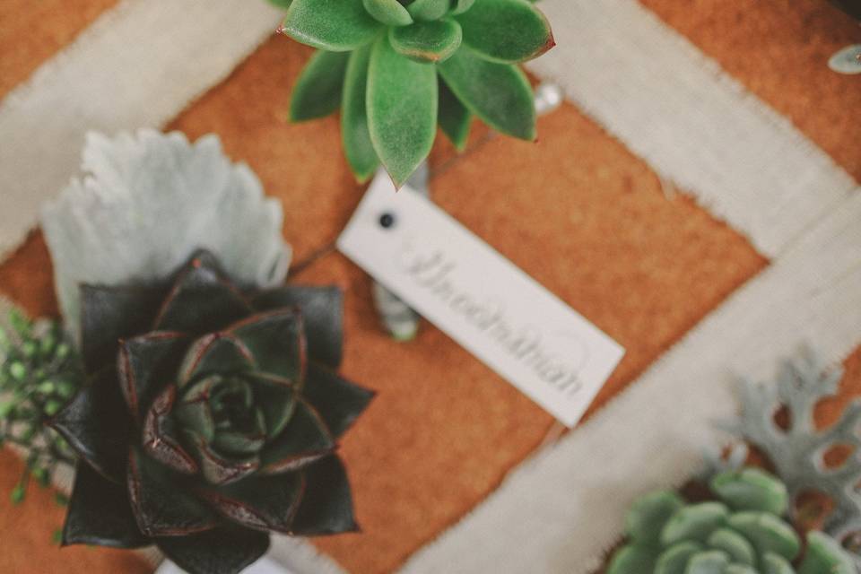 Flowers & Company