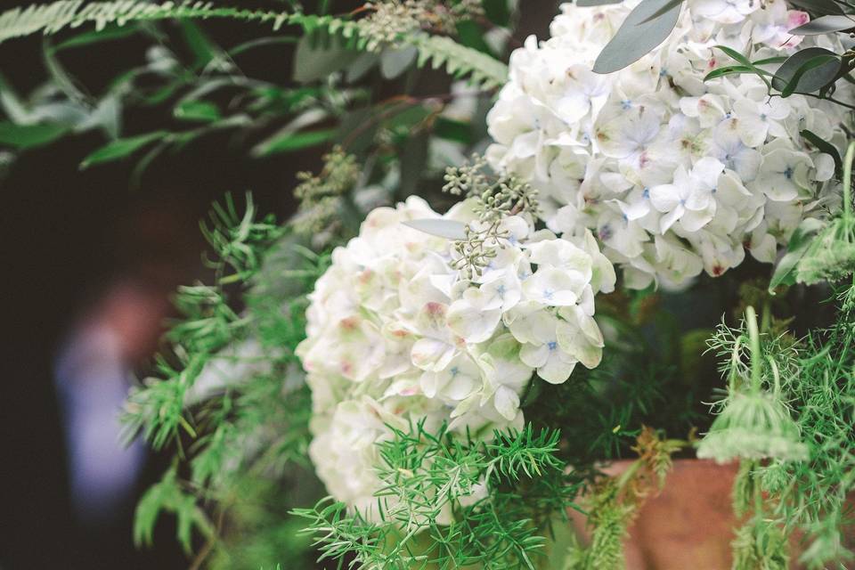 Flowers & Company