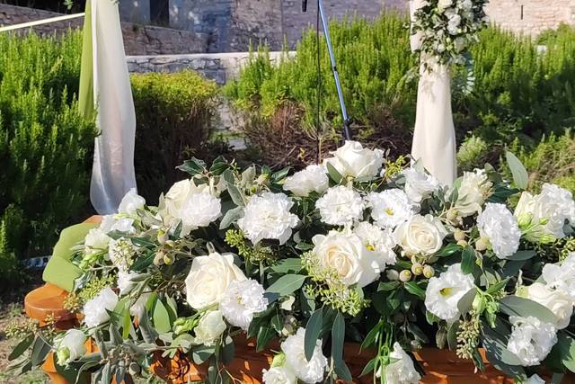 Magico Fiore