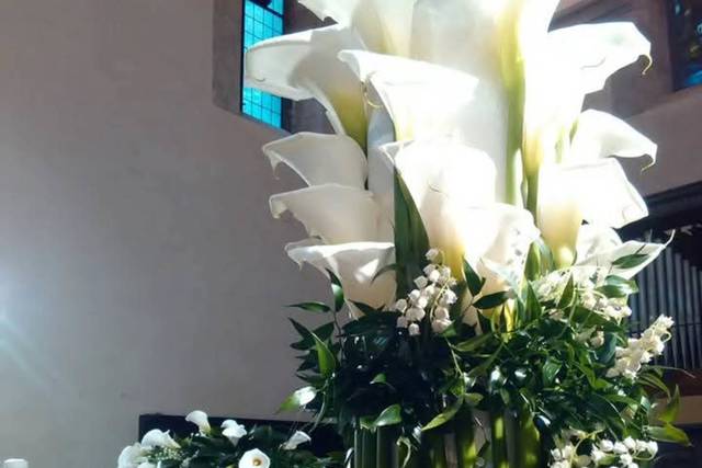 Magico Fiore