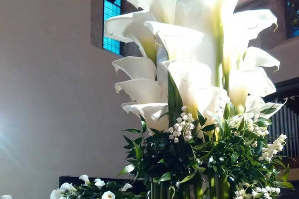 Magico Fiore