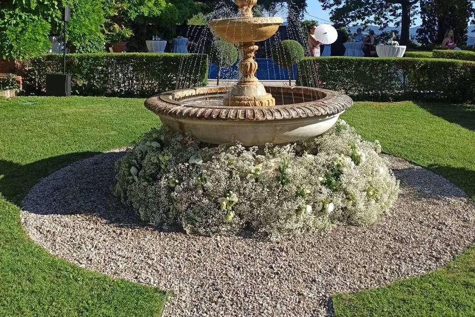 Magico Fiore