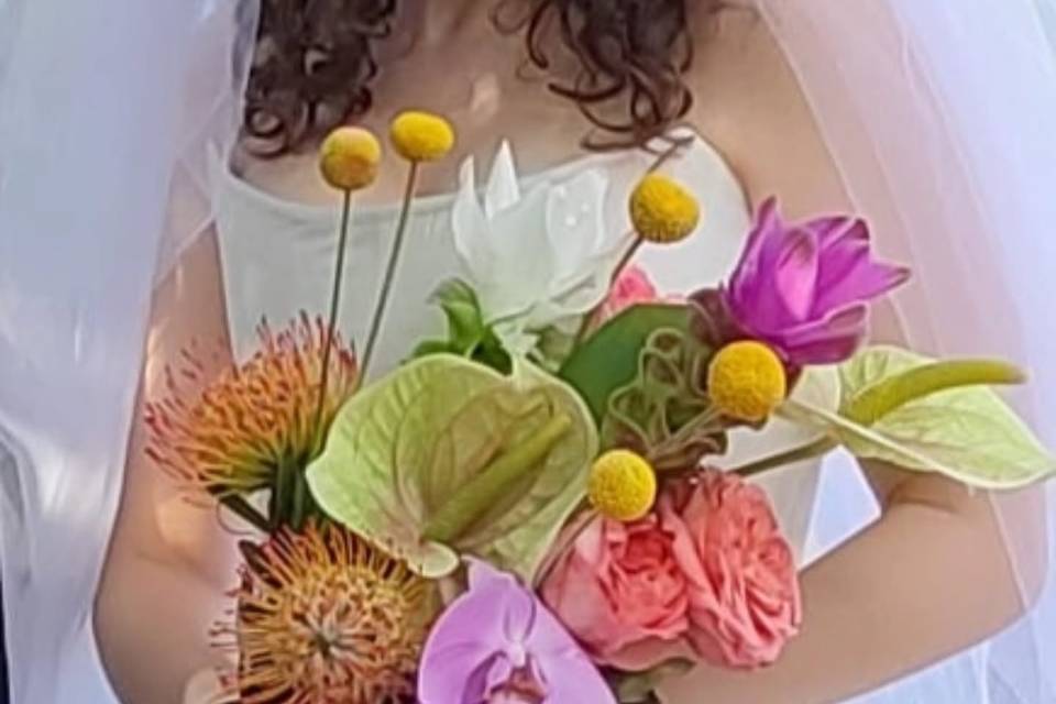 Magico Fiore