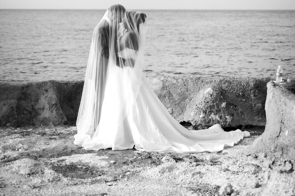 Black & White Veil