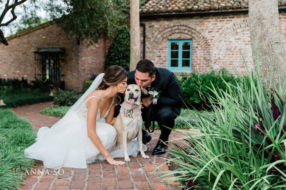 Pet-friendly wedding venue