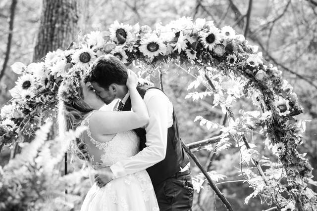 Photography by Laura Ann Bailey