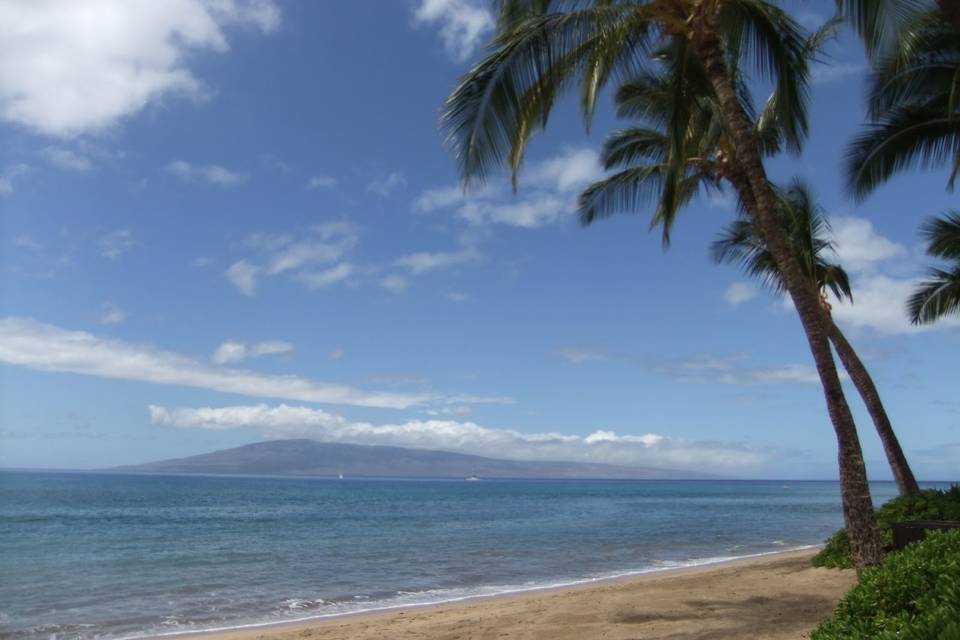 Maui beaches