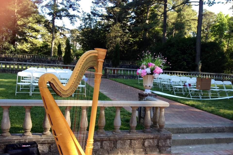 Diana Dunnavant, harpist