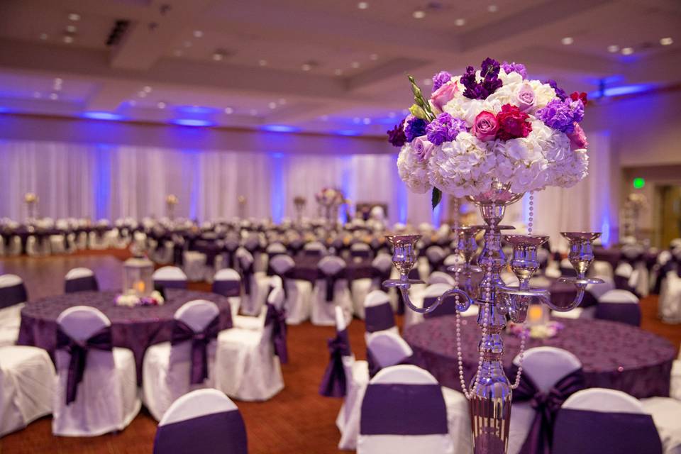 Reception hall in purple decor