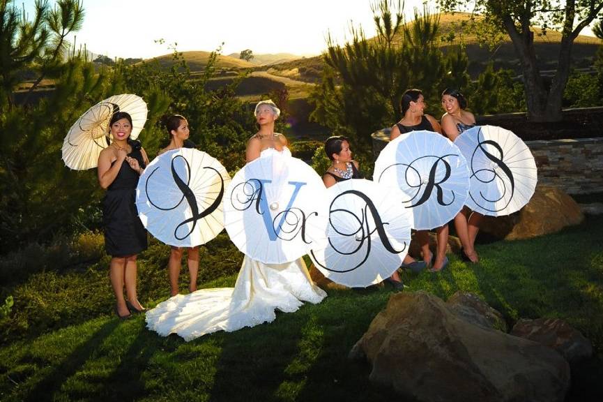 The bride with her bridesmaids