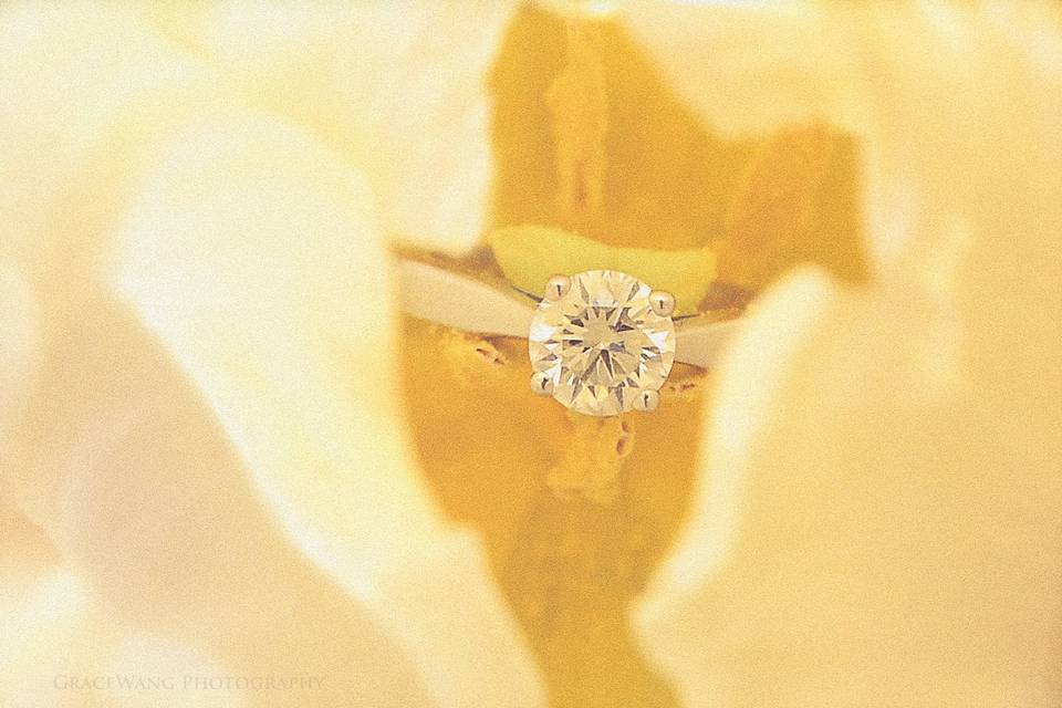 GraceWang Photography