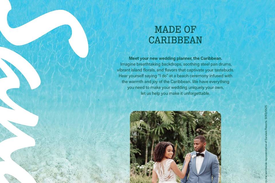 Wedding Couple - Sandals
