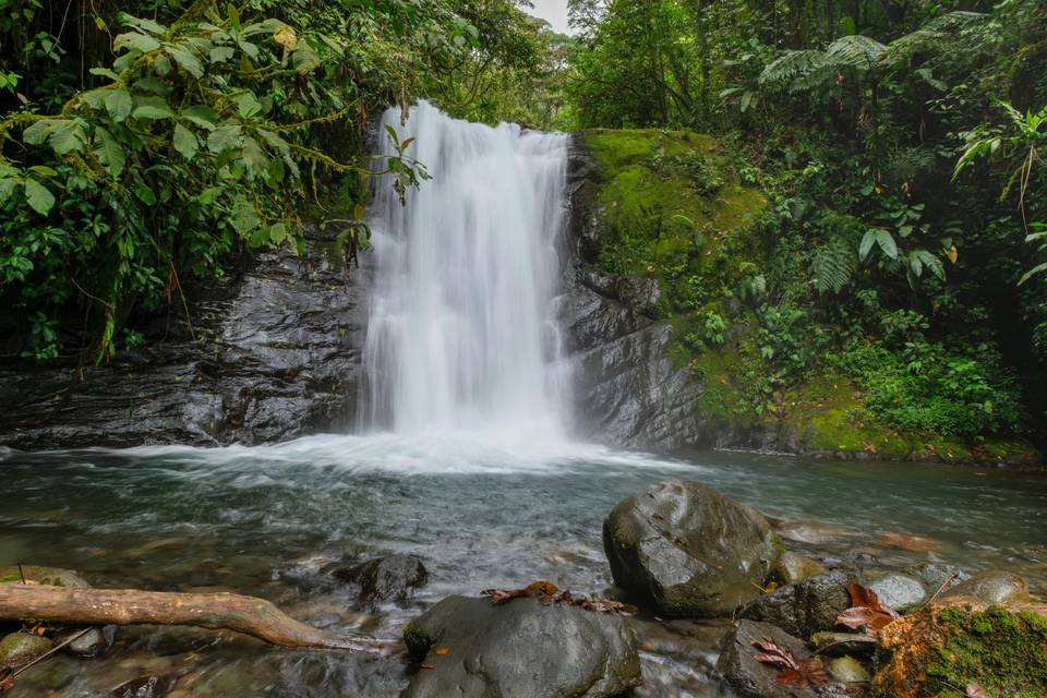 Jamaica