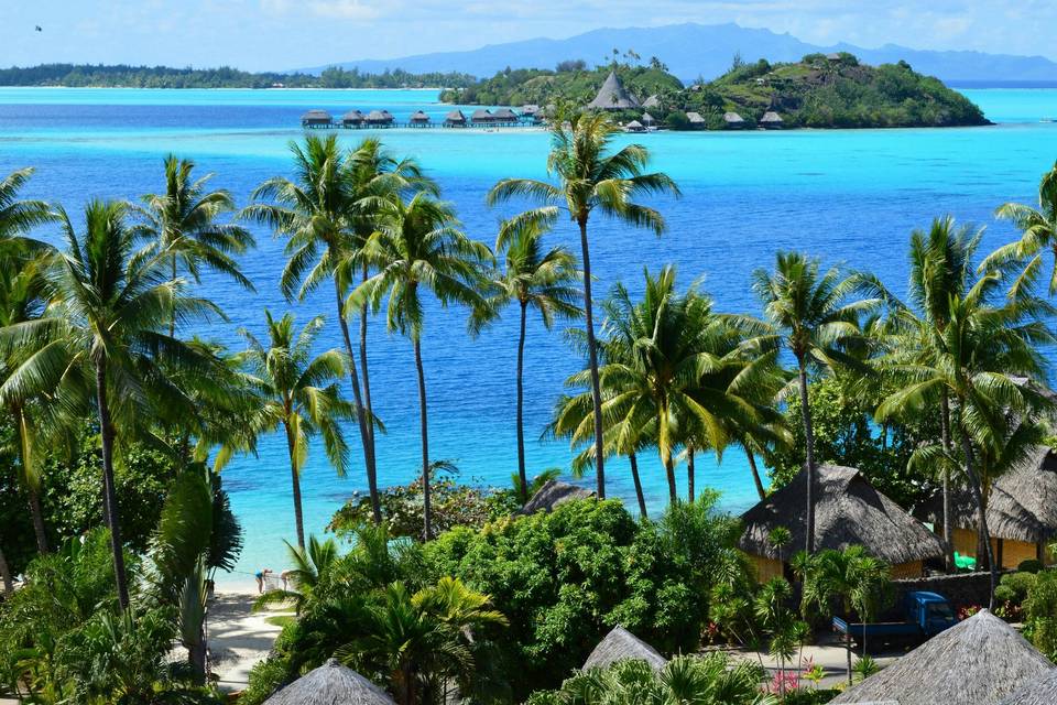 Caribbean