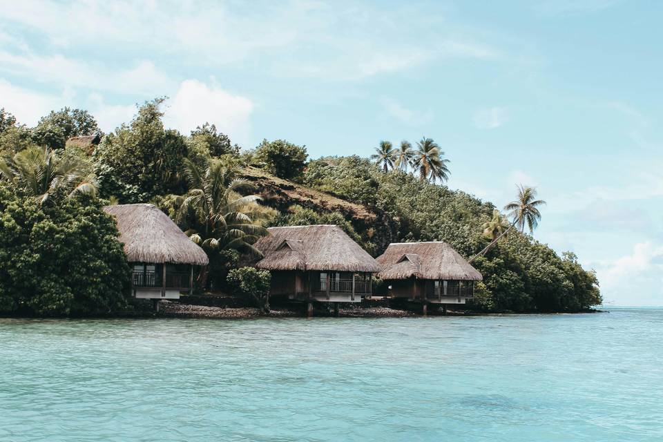 Caribbean