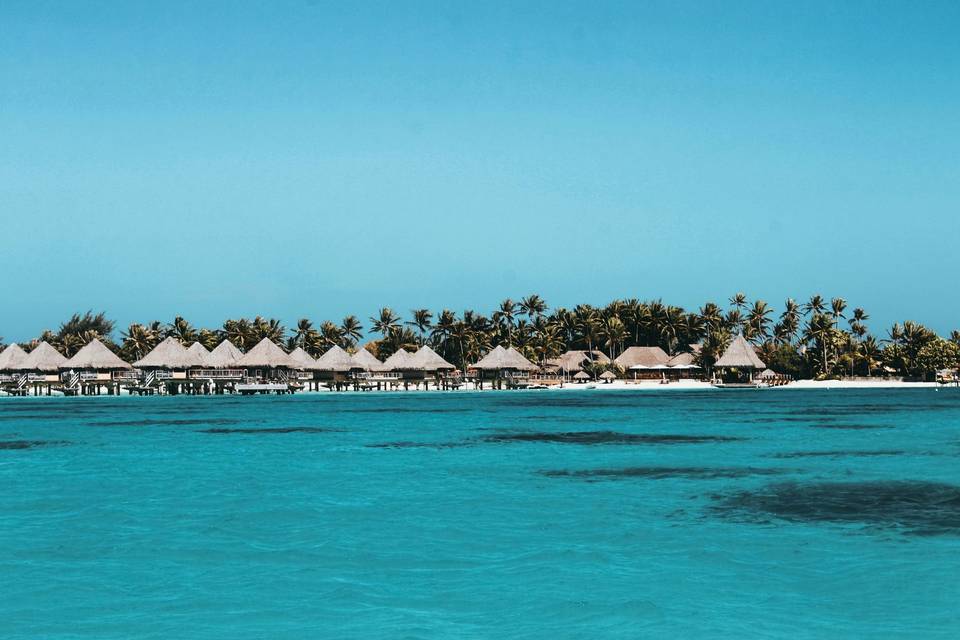 Caribbean