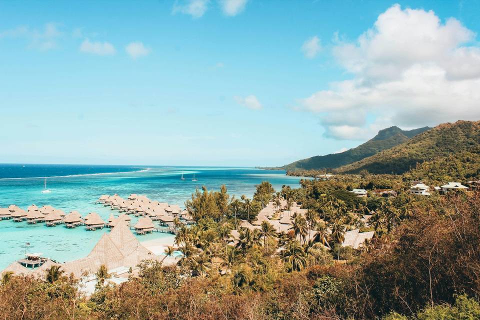 Caribbean