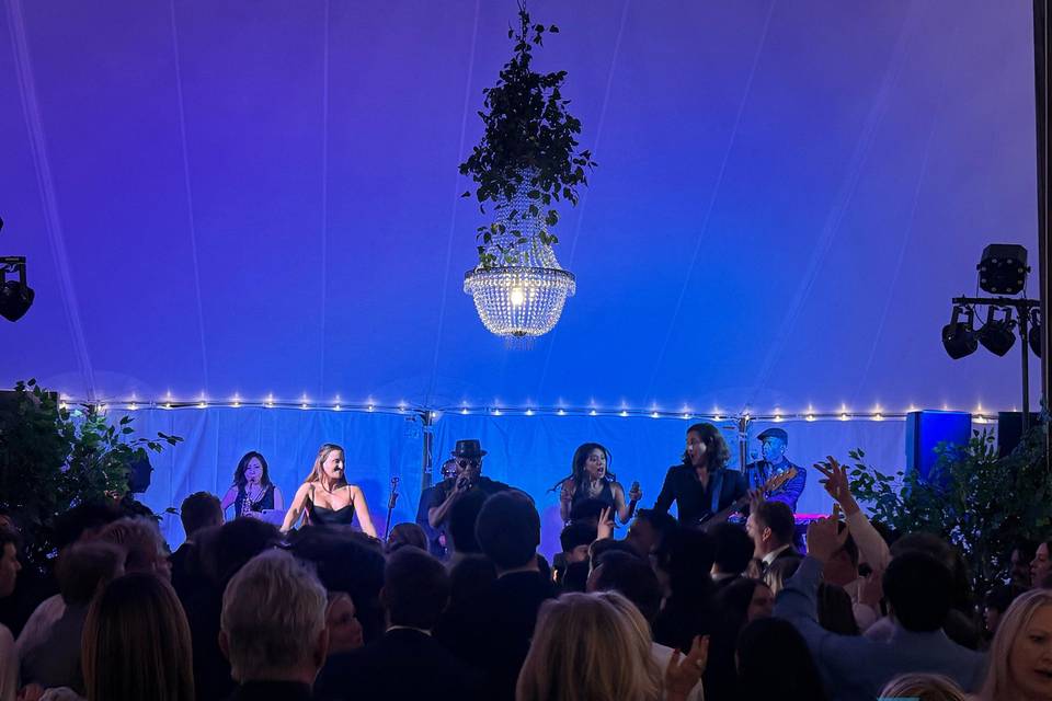 Liquid Blue Live
