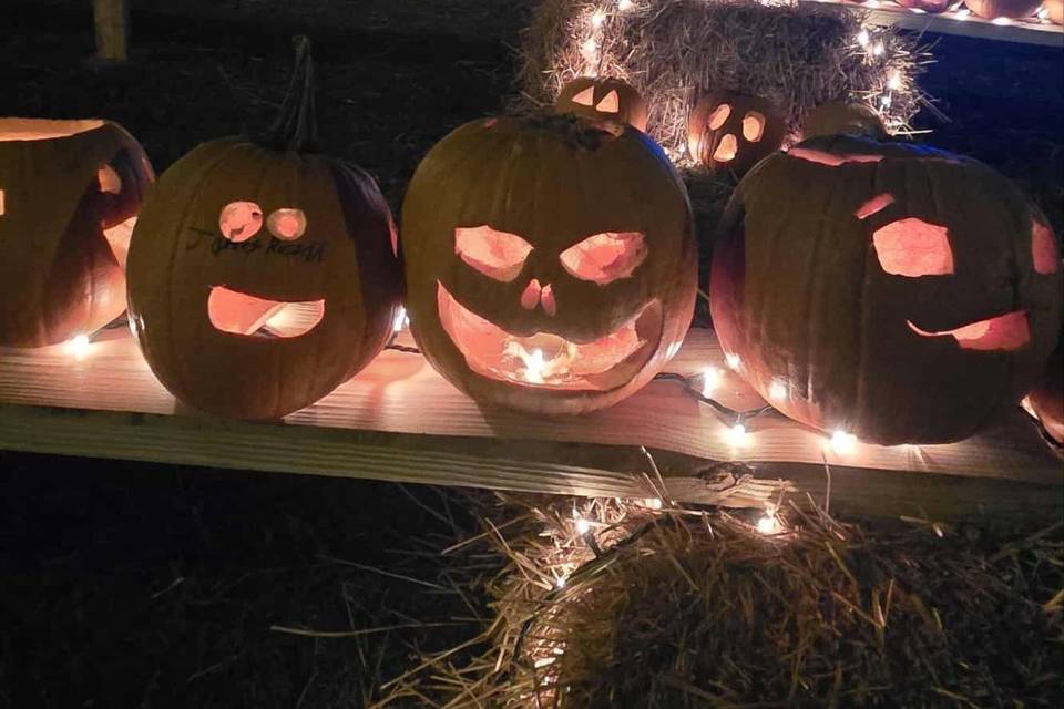 Pumpkin patch