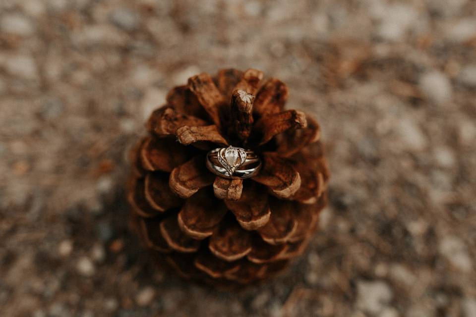 California Elopement