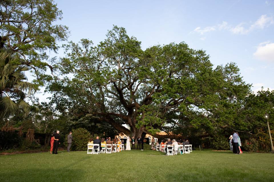 New Orleans Botanical Gardens