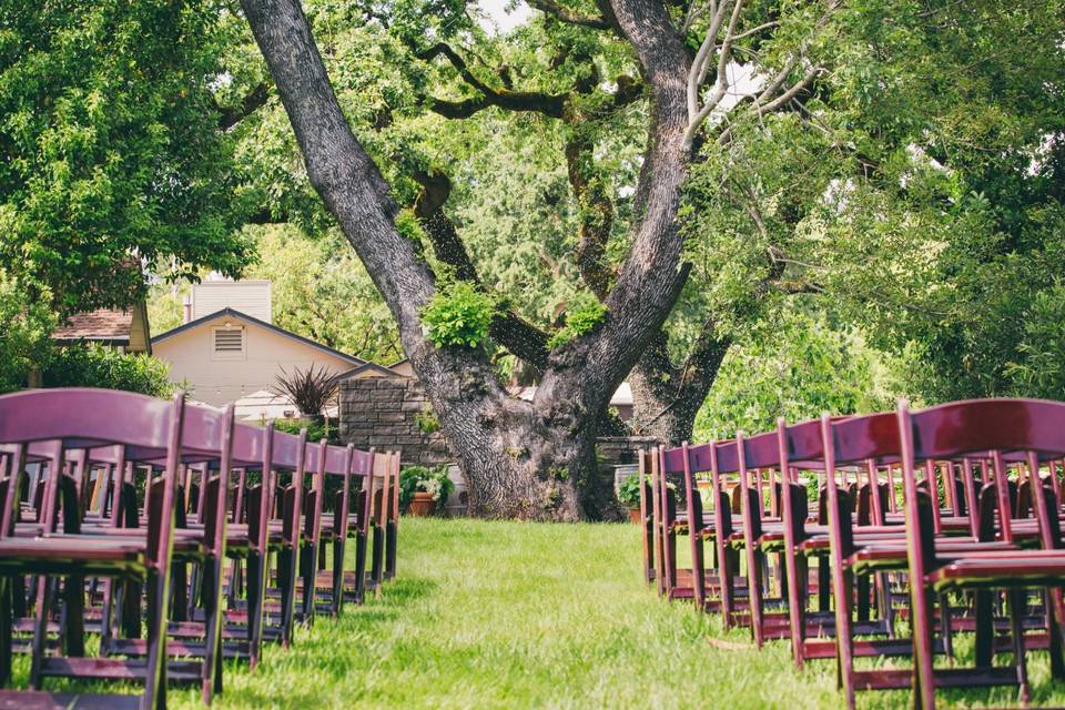 Ceremony Under the Oaks