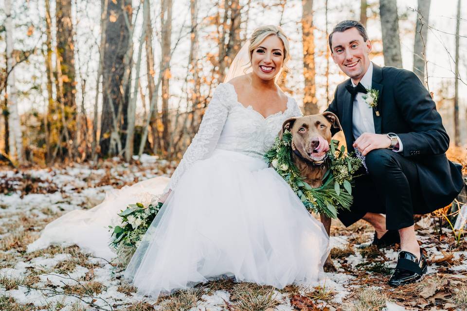 Bride, groom and dog